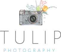 tulip photography